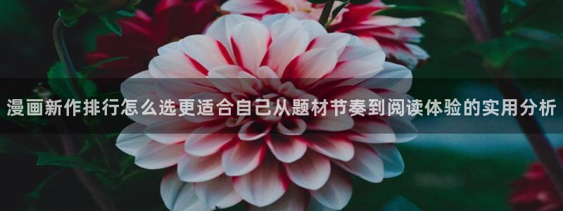 樱花日语入门