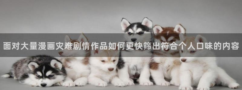 樱花日语学习工具