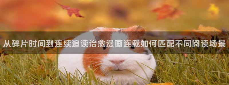 樱花日语在线